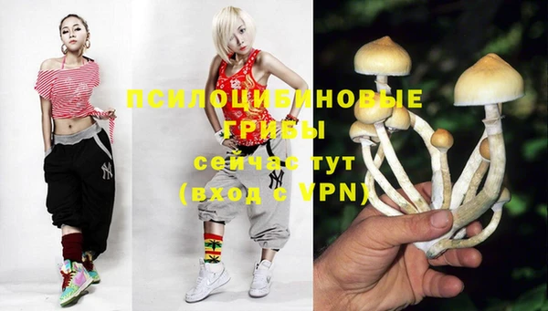 ECSTASY Абаза
